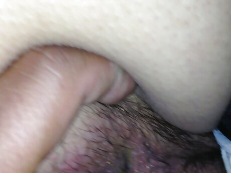 MILF Dee Williams dengan payudara gudang download video bokep besar berhubungan seks dan ternyata creampie