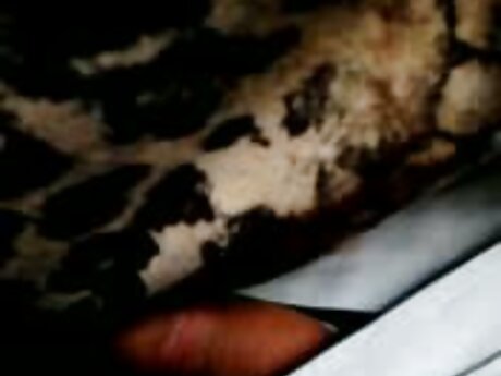 Gadis-gadis cantik saling download gudang video bokep barat menjilat